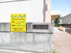 小野幌小学校