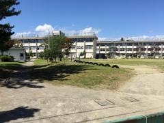 鶴谷東小学校