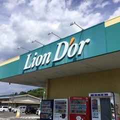 リオン・ドール玉川店