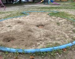 野田中央公園