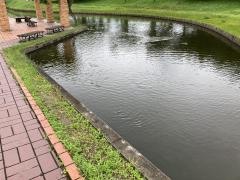 野田中央公園