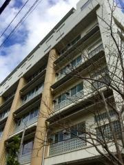 第一大島小学校