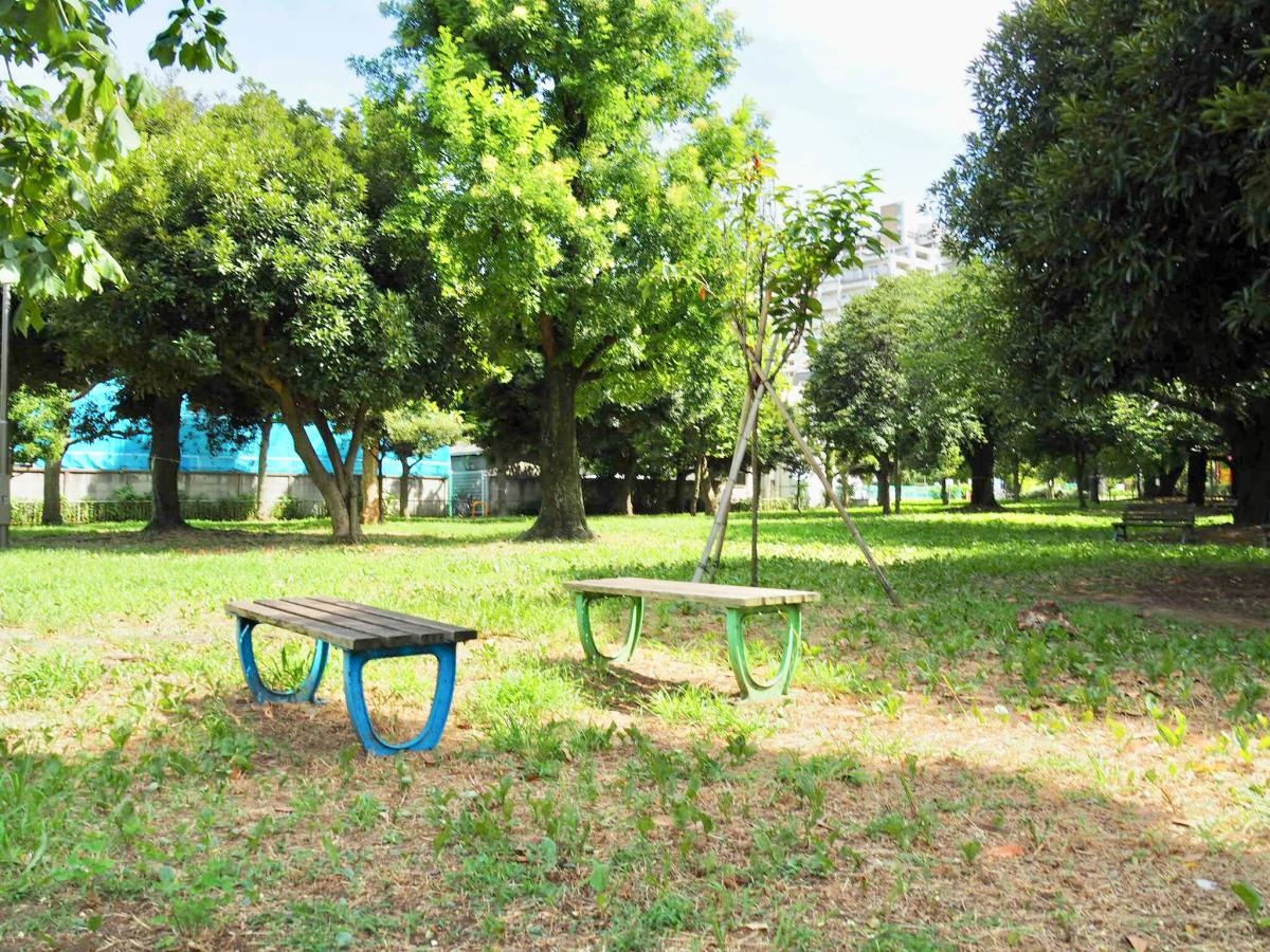 公園内