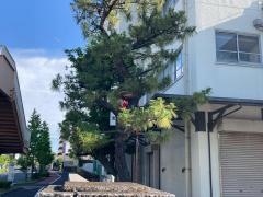 汐入小学校
