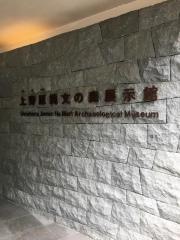 上野原遺跡