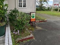 田津田