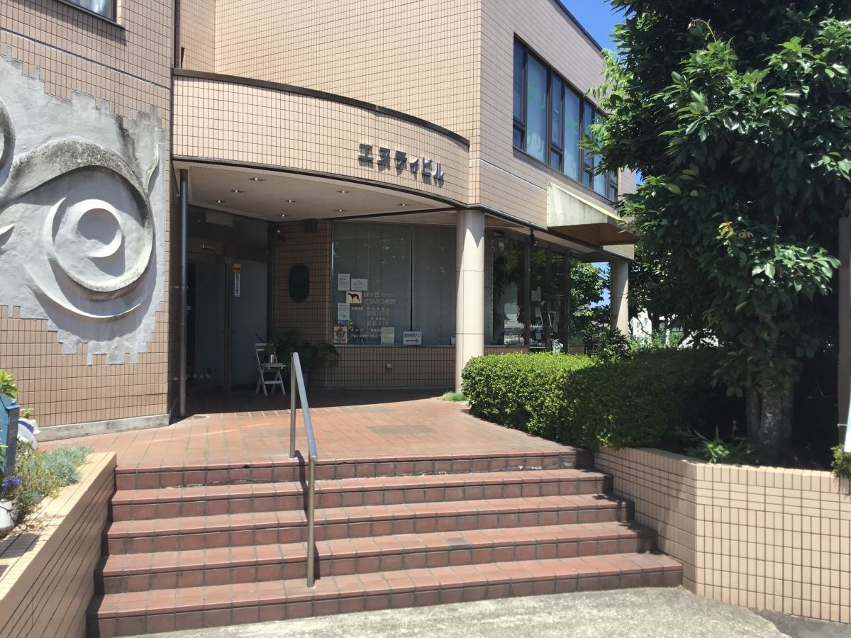 緑ヶ丘どうぶつ病院