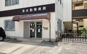 清水動物病院
