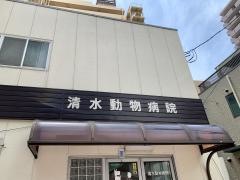 清水動物病院