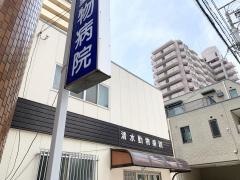 清水動物病院