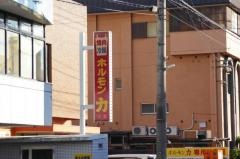 ホルモン力