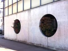 いしや
