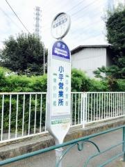 「小平営業所」バス停留所