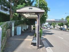 「新栄高校前」バス停留所