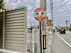 「林町」バス停留所