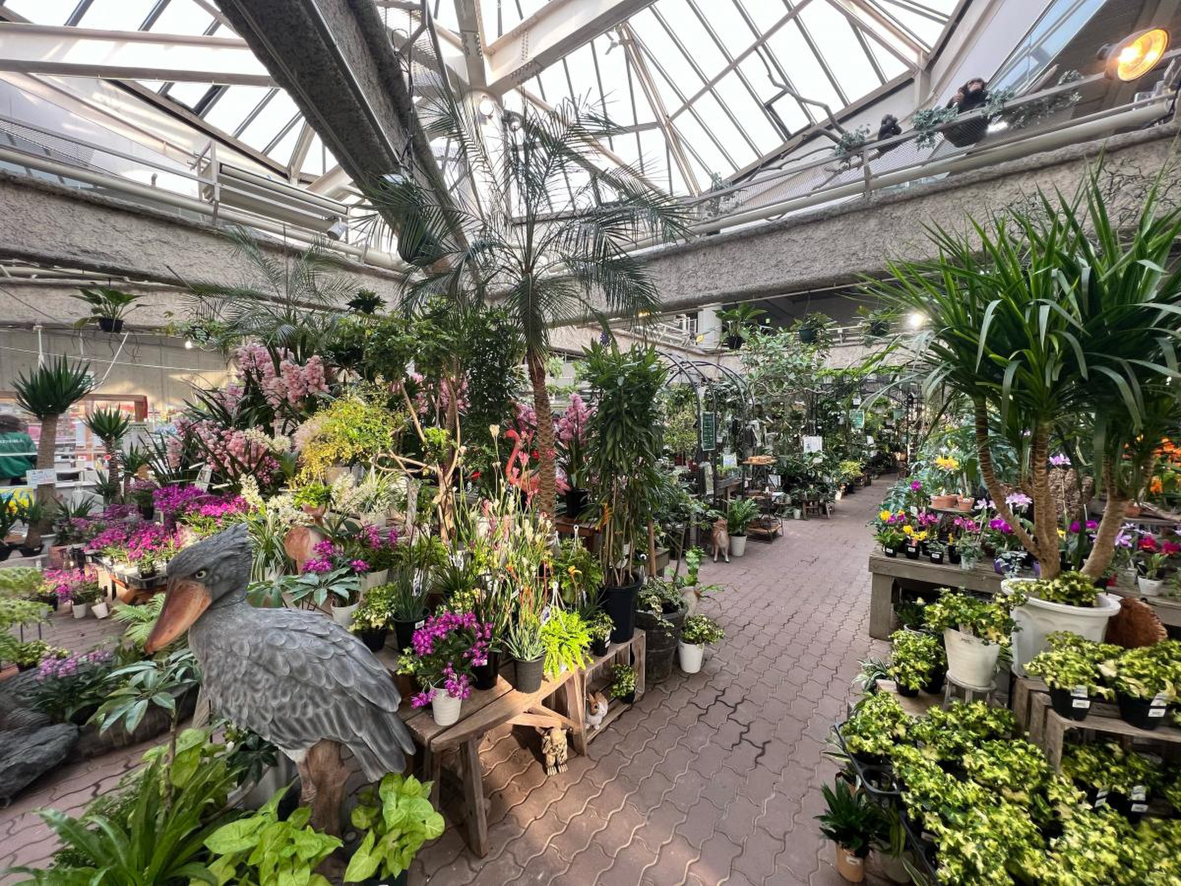 赤塚 植物園