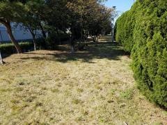 朝日新町東緑地