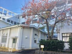 銭座小学校