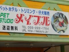 ペットスタジオメイプル