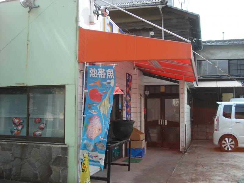 外観です。