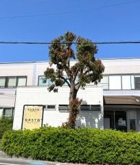 ハーモニークリニック