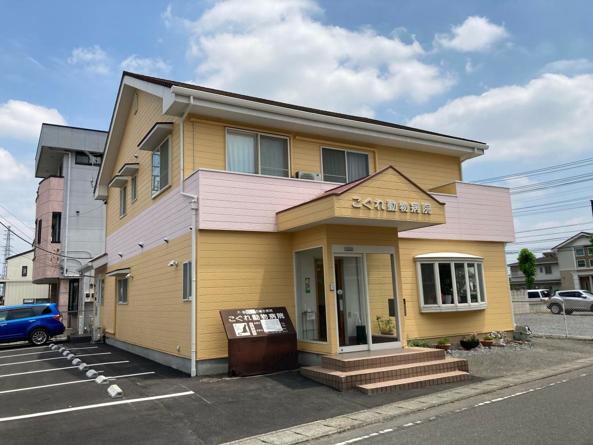 こぐれ動物病院