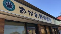 おがわ動物病院