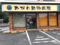 おがわ動物病院