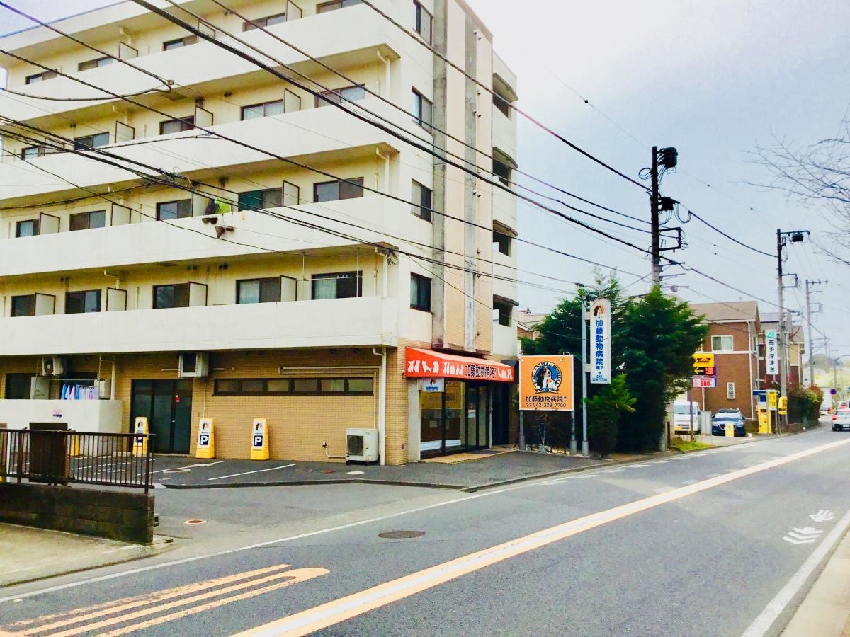 五日市街道沿いのマンションの1階です。