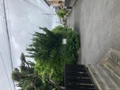 渋沢整体・カイロプラクティック・院