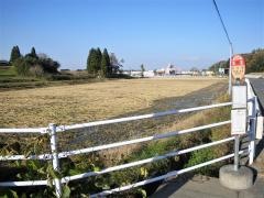 「綱島」バス停留所