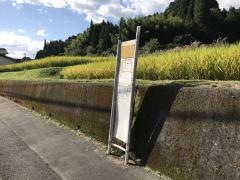「廿木」バス停留所