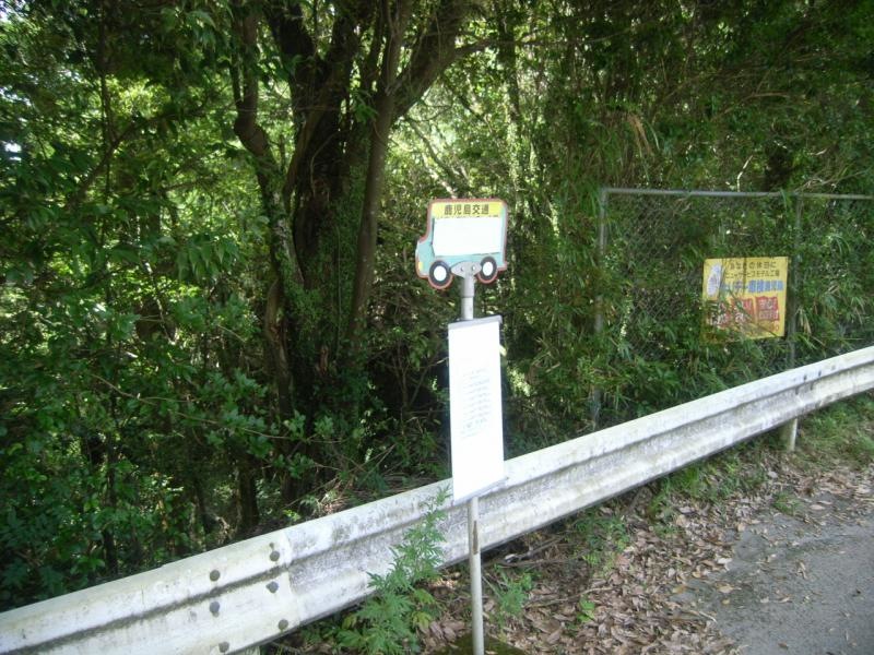 「山中」バス停留所
