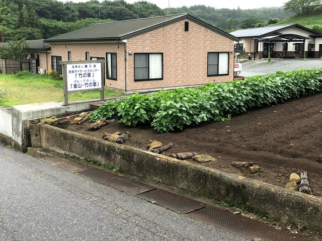 金山・竹の里