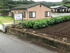 金山・竹の里