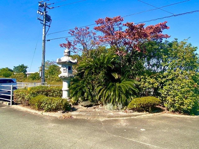 花みずき