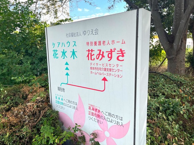花みずき