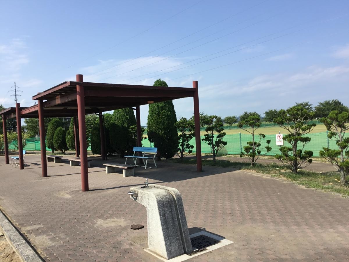 梅ノ木公園