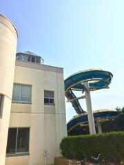 中央運動公園温水プール