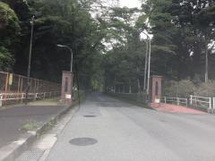 明治大学付属中野八王子高等学校
