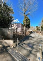 国立看護大学校