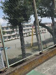 足柄小学校