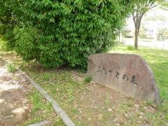 宇佐崎公園