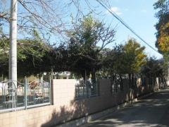 岩田幼稚園