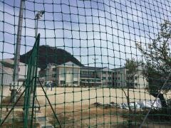醇風小学校