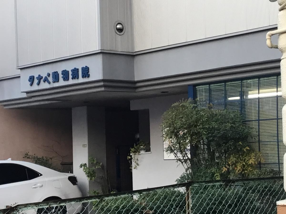 外観です。