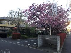 もんがら亭