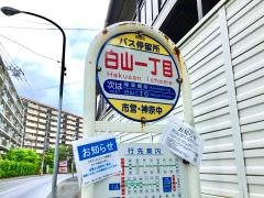 「白山一丁目」バス停留所