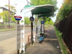 「東竹の里町」バス停留所
