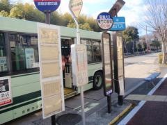 「東竹の里町」バス停留所